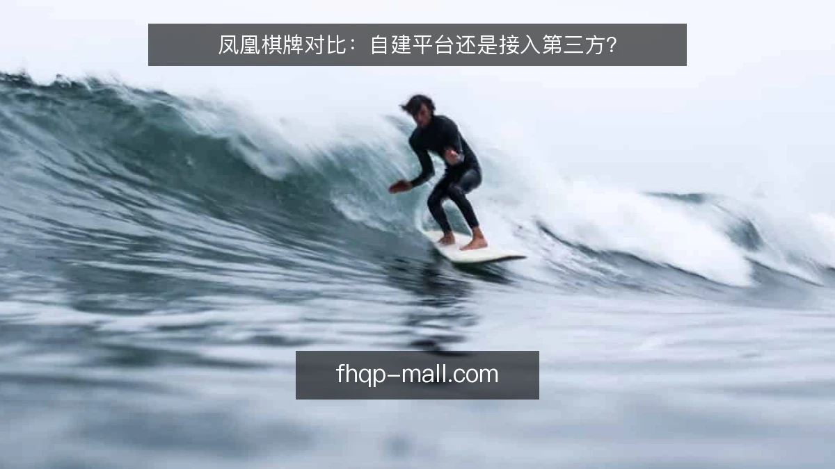 凤凰棋牌对比:自建平台还是接入第三方?