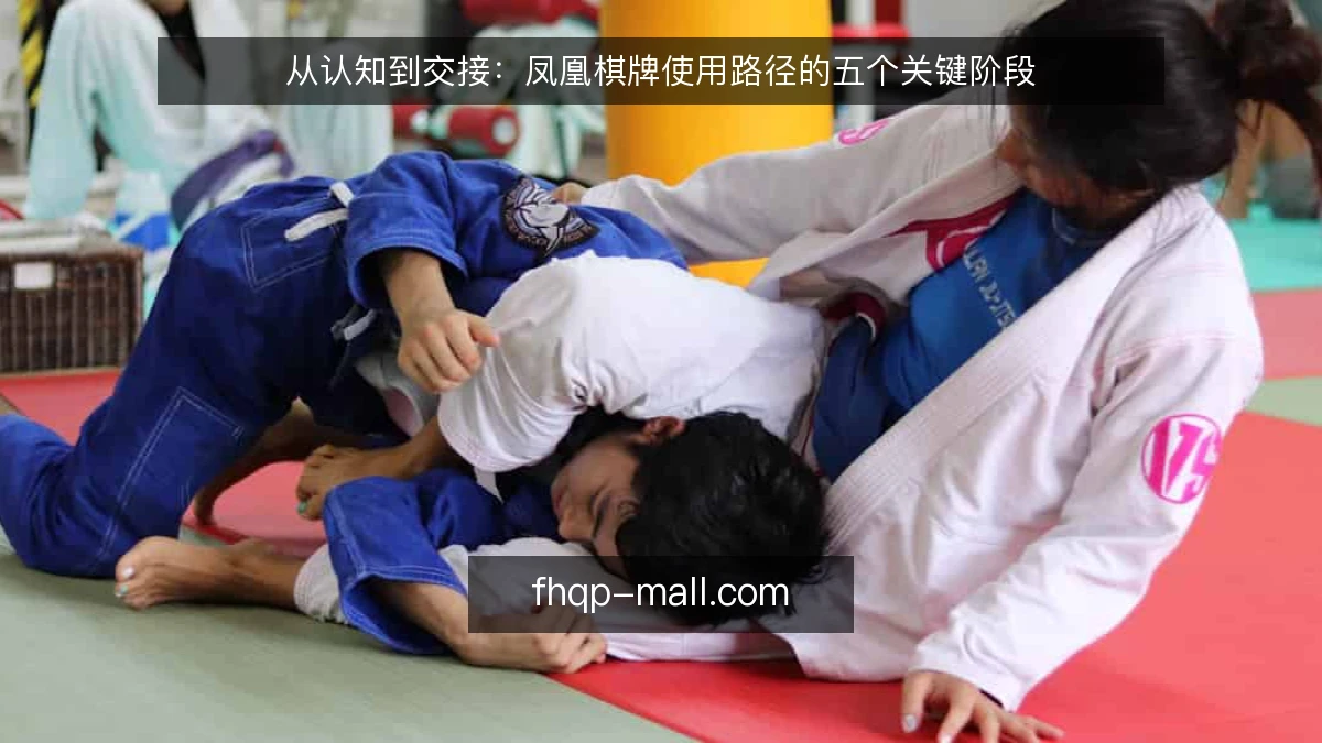 从认知到交接：凤凰棋牌使用路径的五个关键阶段