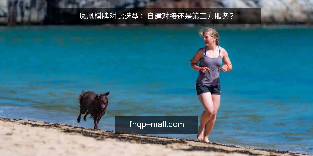 凤凰棋牌对比选型：自建对接还是第三方服务？ — 明确接入需求：先定义场景边界 配图