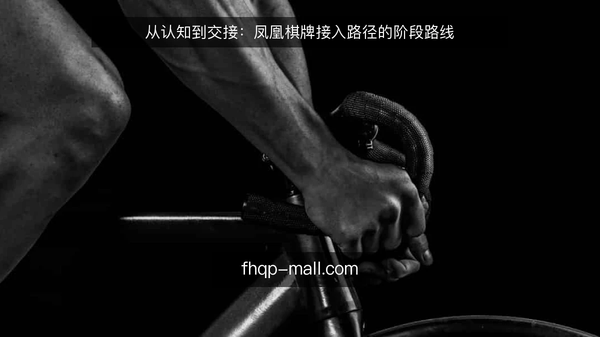 从认知到交接:凤凰棋牌接入路径的阶段路线